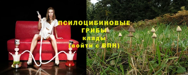 гидропоника Медвежьегорск