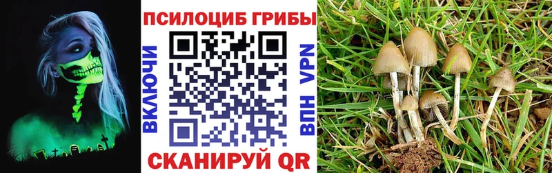 кракен вход  Калтан  Псилоцибиновые грибы мухоморы  где продают  